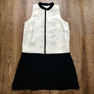 Ann Taylor Loft Black and white dress